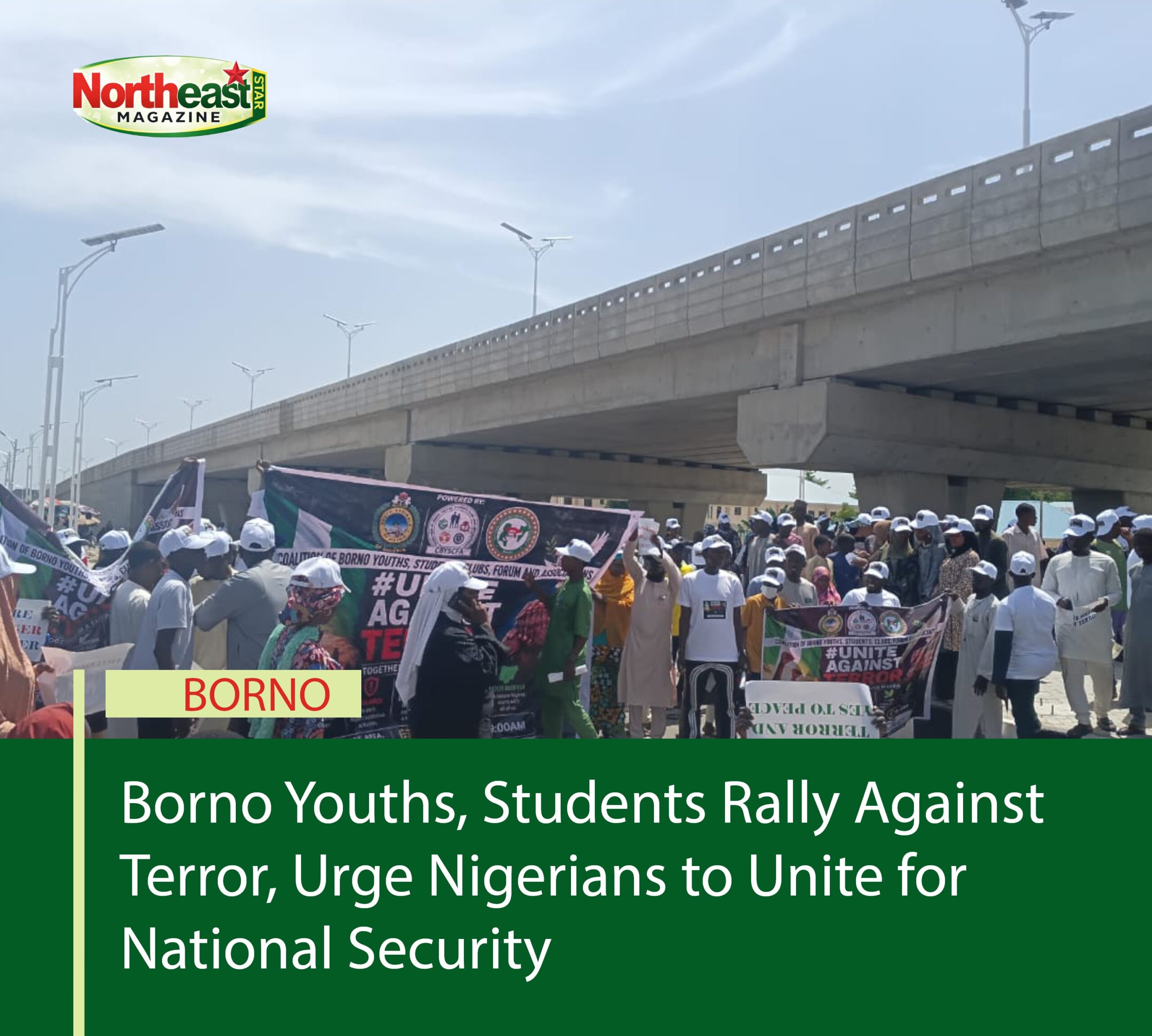 Borno Youths, Students Rally Against Terror, Urge Nigerians to Unite for National Security