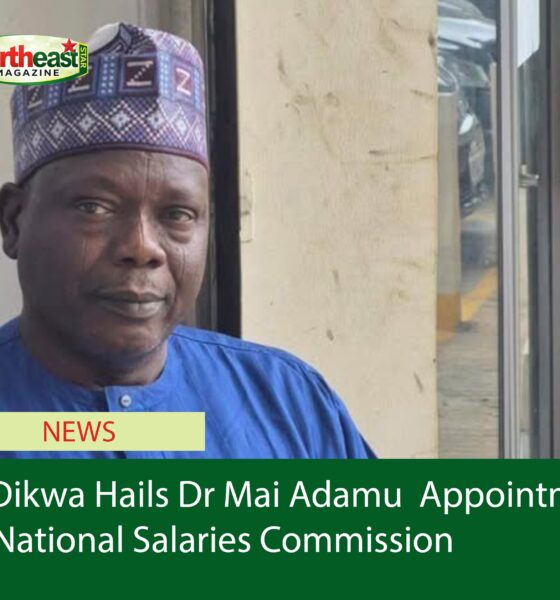 Dr Dikwa Hails Dr Mai Adamu  Appointment to National Salaries Commission