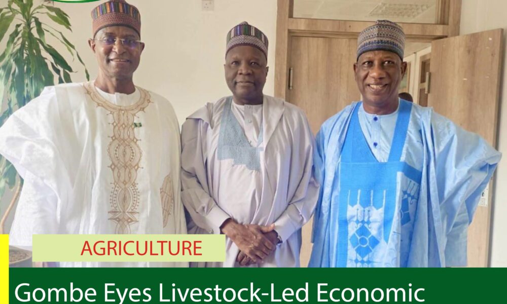 Gombe Eyes Livestock-Led Economic Growth as Inuwa Yahaya Meets Minister