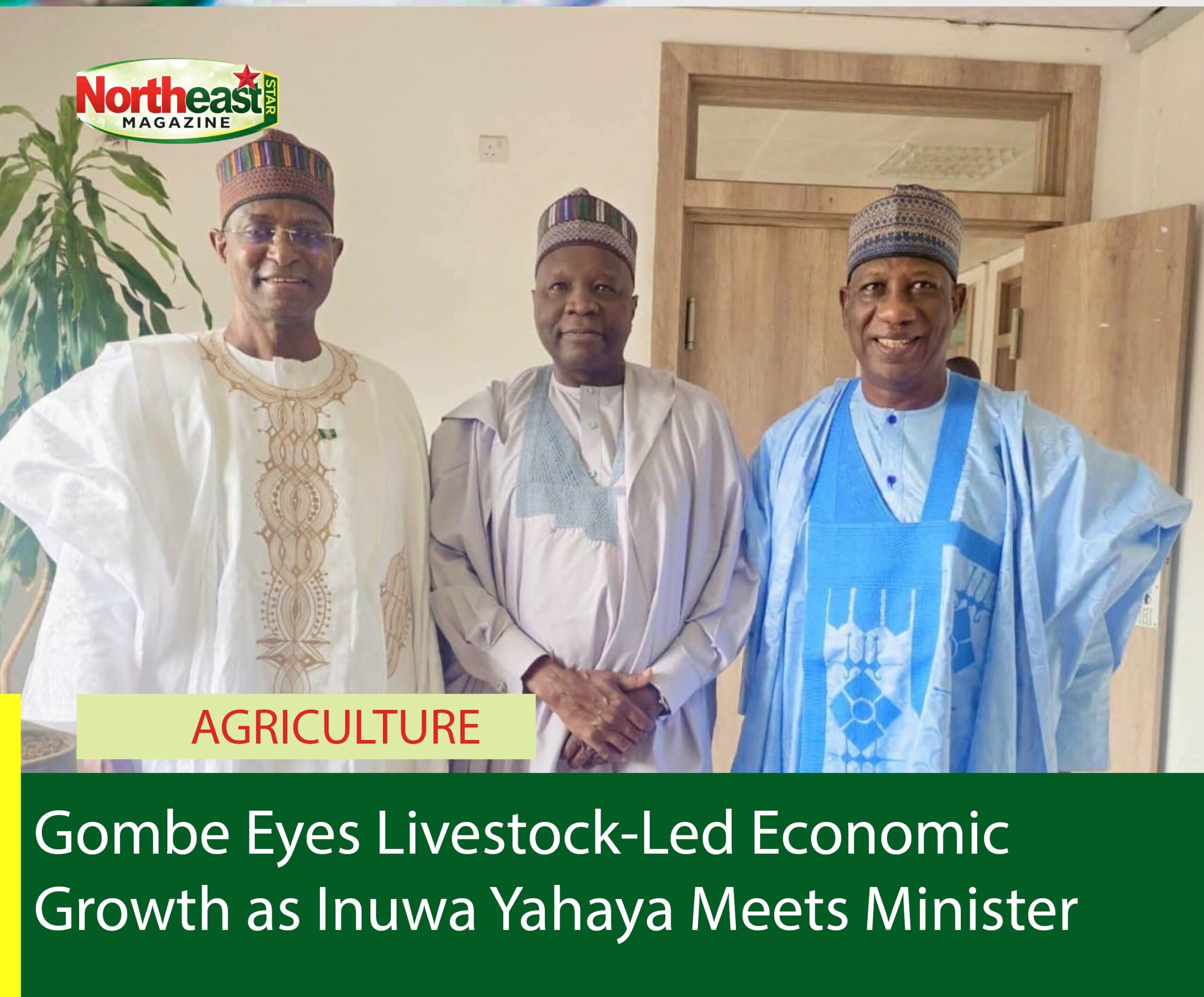 Gombe Eyes Livestock-Led Economic Growth as Inuwa Yahaya Meets Minister