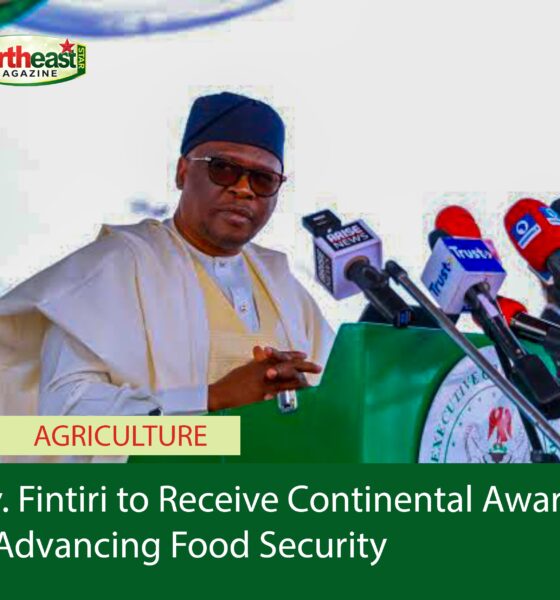 Fintiri to Receive Continental Award for Advancing Food Security