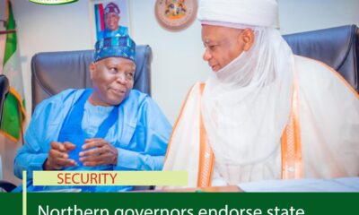 Northern governors endorse state police, boost security funding