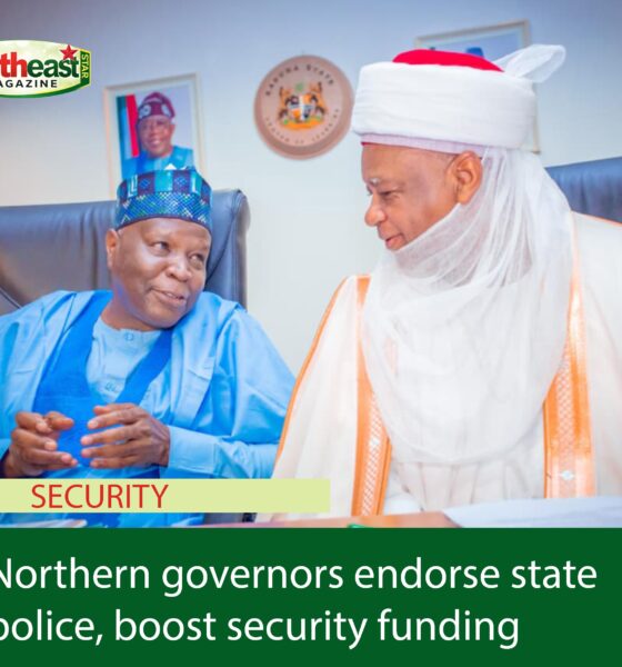 Northern governors endorse state police, boost security funding