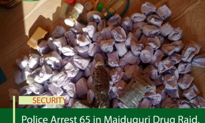 Police Arrest 65 in Maiduguri Drug Raid, Recover Large Cache of Illicit Substances