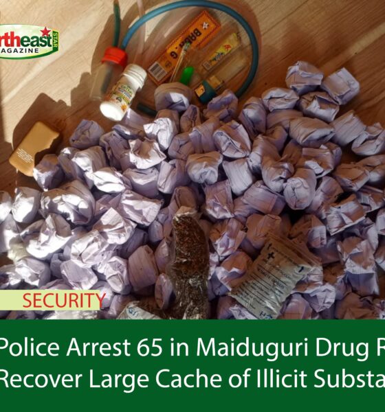 Police Arrest 65 in Maiduguri Drug Raid, Recover Large Cache of Illicit Substances
