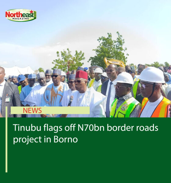 Tinubu flags off N70bn border roads project in Borno