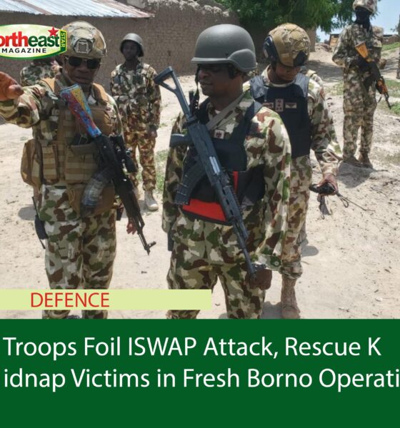 Troops Foil ISWAP Attack, Rescue Kidnap Victims in Fresh Borno Operations