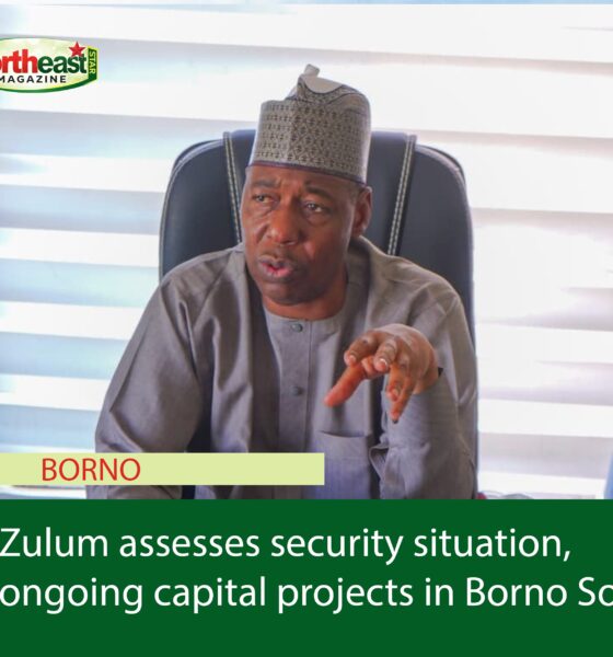 Zulum assesses security situation, ongoing capital projects in Borno South