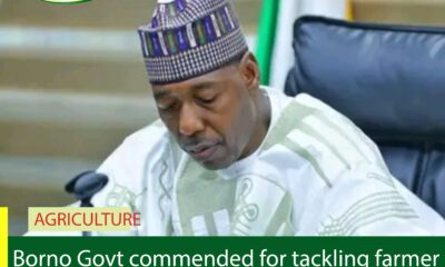 Borno Govt commended for tackling farmer-herder clashes