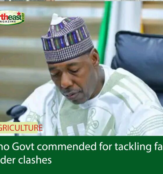 Borno Govt commended for tackling farmer-herder clashes