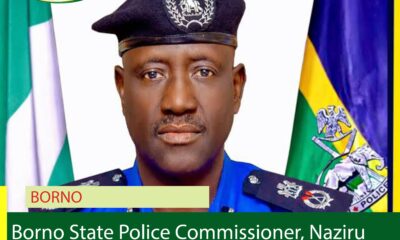 Borno Police Crack Down on Dead Meat Trade, Warn Butchers Against Selling Unfit Animals