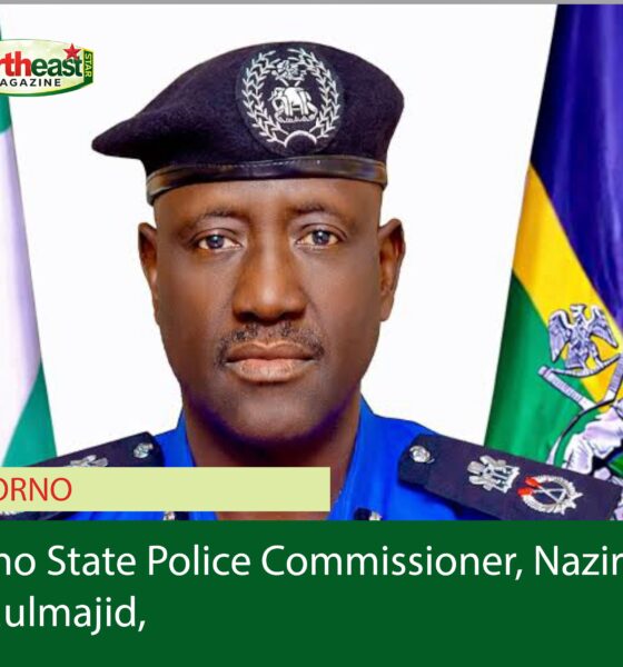 Borno Police Crack Down on Dead Meat Trade, Warn Butchers Against Selling Unfit Animals