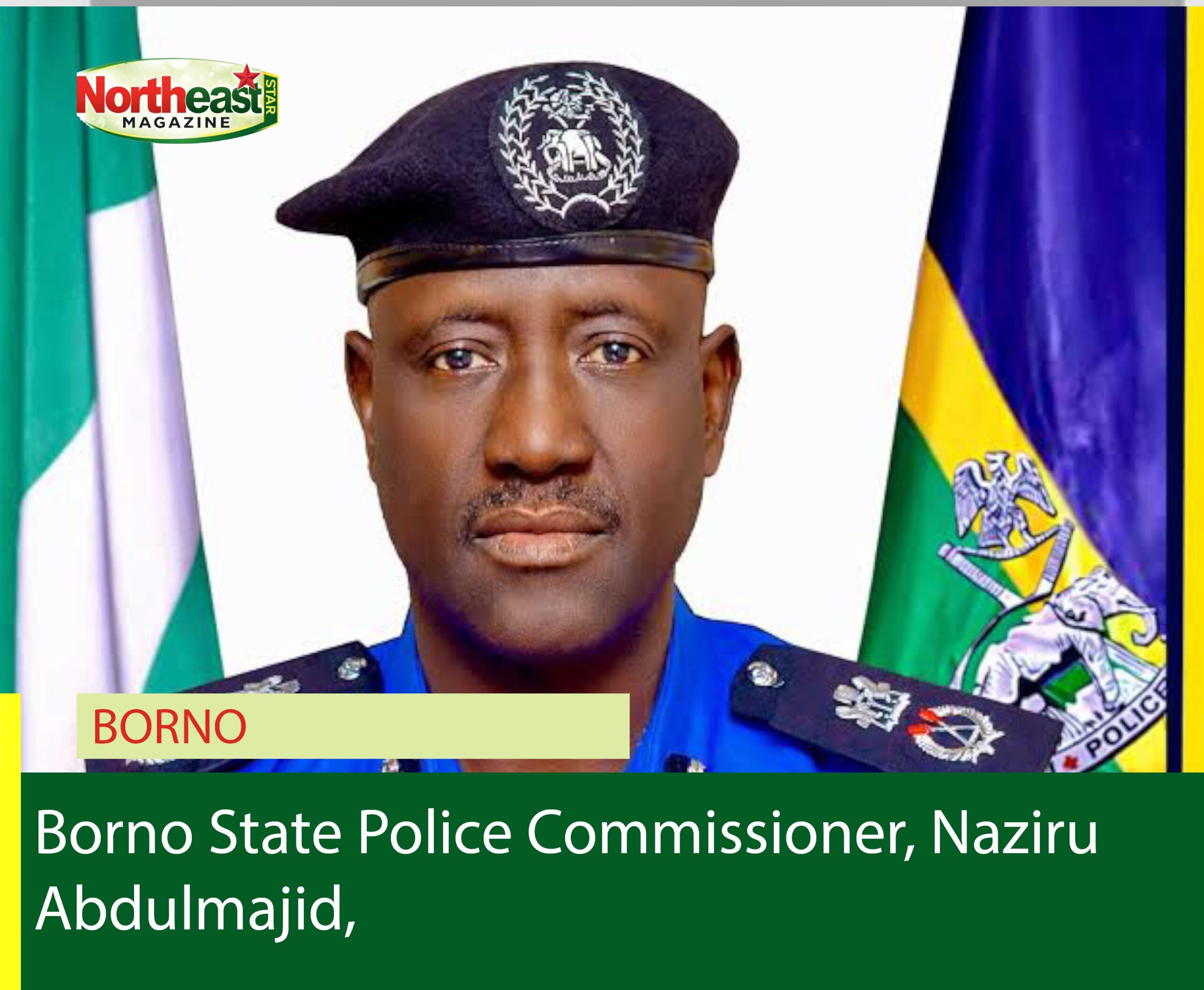 Borno Police Crack Down on Dead Meat Trade, Warn Butchers Against Selling Unfit Animals