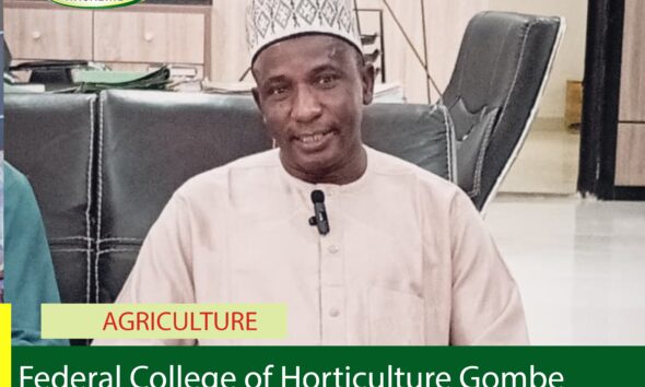 Federal College of Horticulture Gombe Introduces AI, Cybersecurity Courses