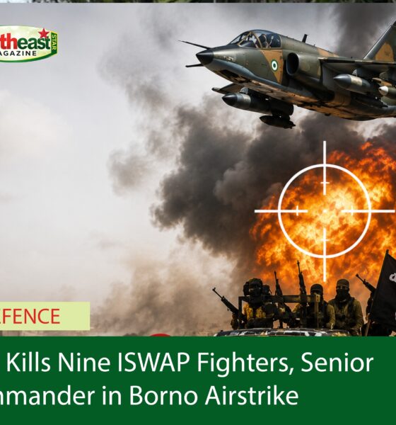 NAF Kills Nine ISWAP Fighters, Senior Commander in Borno Airstrike