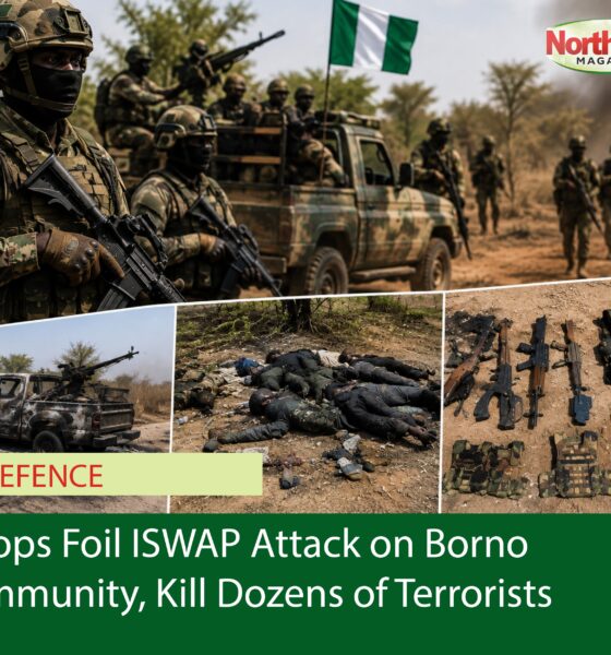 Troops Foil ISWAP Attack on Borno Community, Kill Dozens of Terrorists