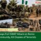 Troops Foil ISWAP Attack on Borno Community, Kill Dozens of Terrorists