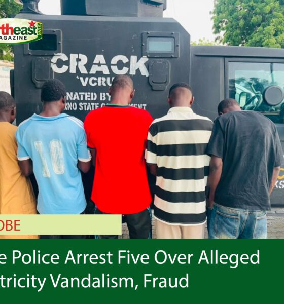 Yobe Police Arrest Five Over Alleged Electricity Vandalism, Fraud