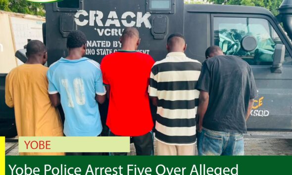 Yobe Police Arrest Five Over Alleged Electricity Vandalism, Fraud