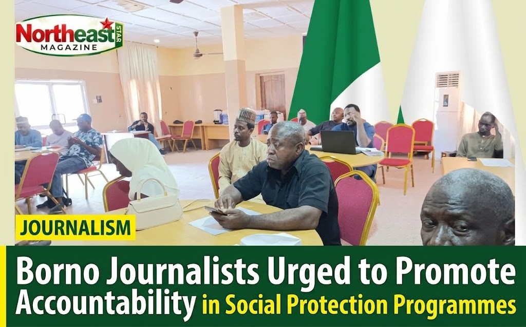 Borno Journalists Urged to Promote Accountability in Social Protection Programmes
