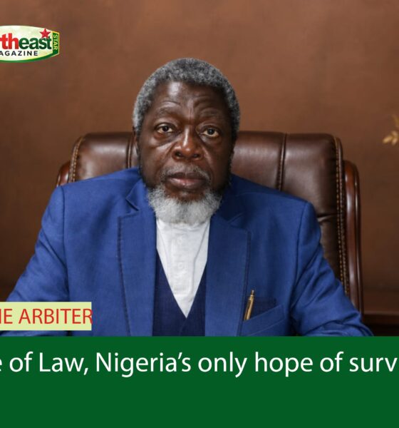 Rule of Law, Nigeria’s only hope of survival (1)