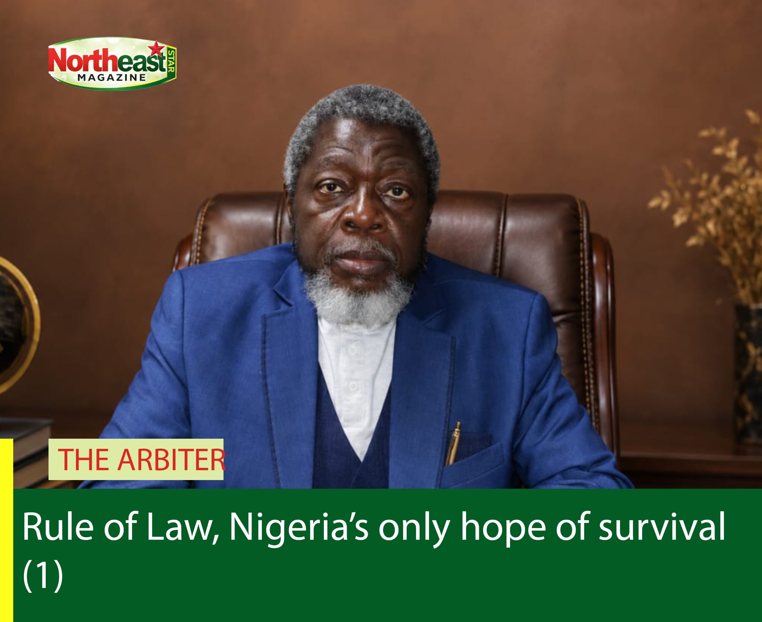 Rule of Law, Nigeria’s only hope of survival (1)