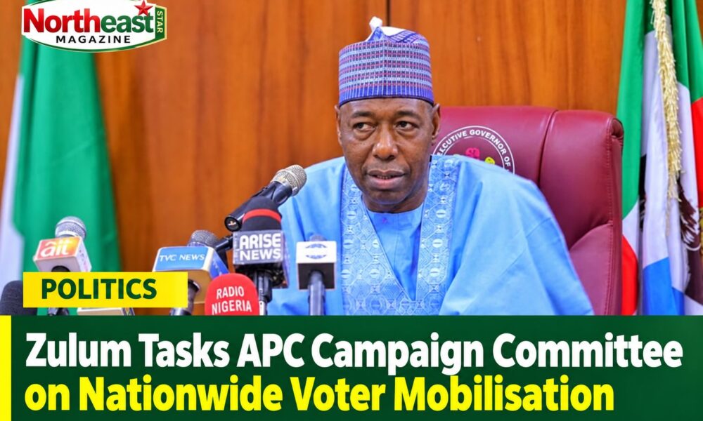 Zulum Tasks APC Campaign Committee on Nationwide Voter Mobilisation