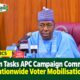 Zulum Tasks APC Campaign Committee on Nationwide Voter Mobilisation
